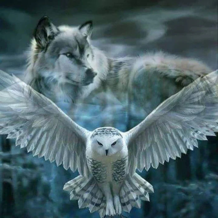 Diamond Painting Eule mit Wolf