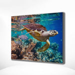 Diamond Painting Schildkröte Meer