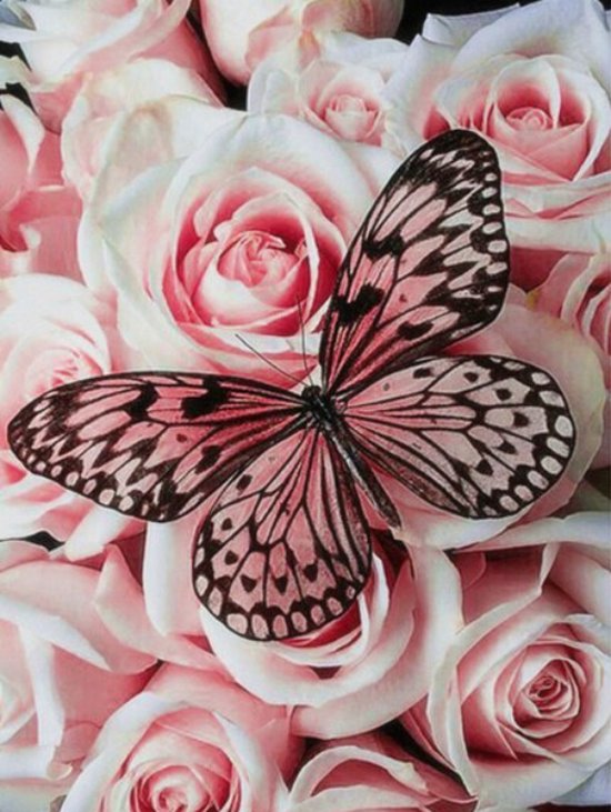Diamond Painting Schmetterling mit Blumen