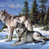 Diamond Painting Zwei Wölfe