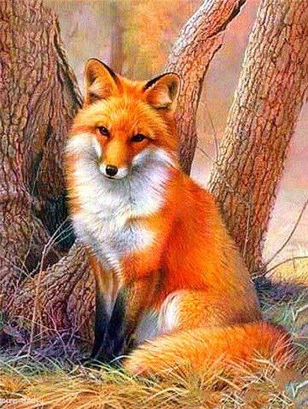 Malen nach Zahlen Fuchs im Zorn