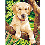 Malen nach Zahlen Puppy Labrador