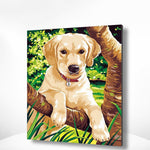 Malen nach Zahlen Puppy Labrador