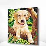 Malen nach Zahlen Puppy Labrador
