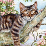 Malen nach Zahlen Schlafende Katze im Baum