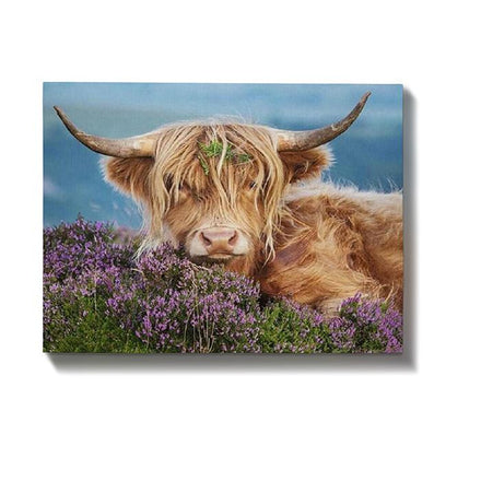 Malen nach Zahlen Schottischer Highlander mit Blumen