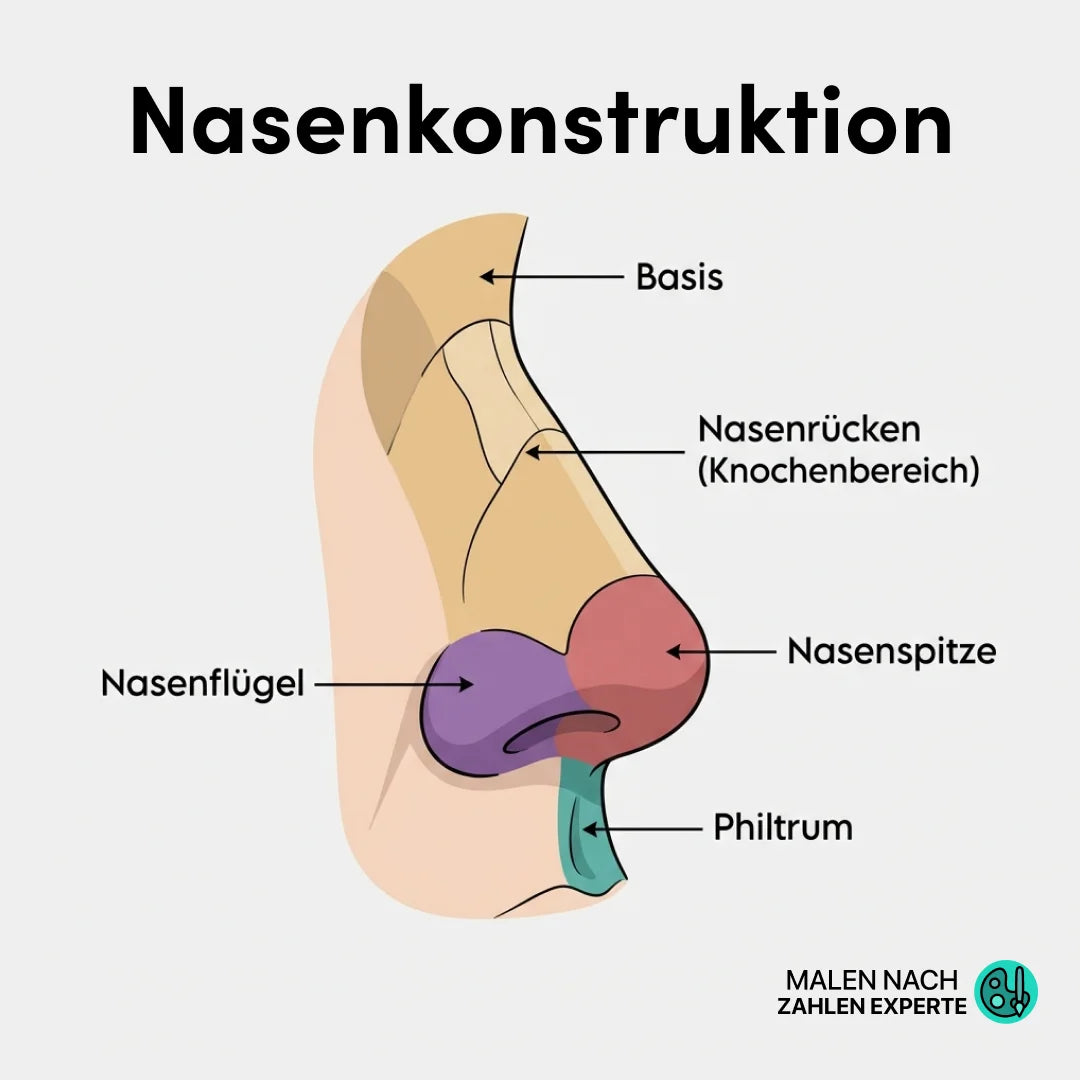 Eine Nase zeichnen lernen: Einfache Schritte für Anfänger