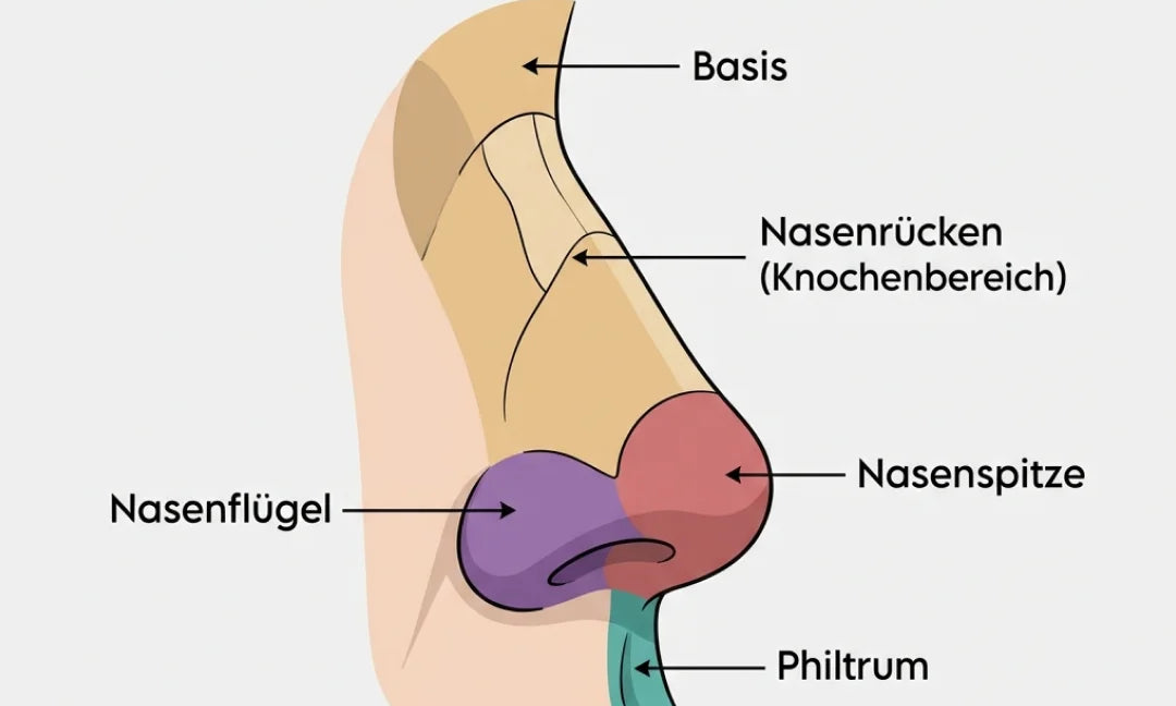 Eine Nase zeichnen lernen: Einfache Schritte für Anfänger