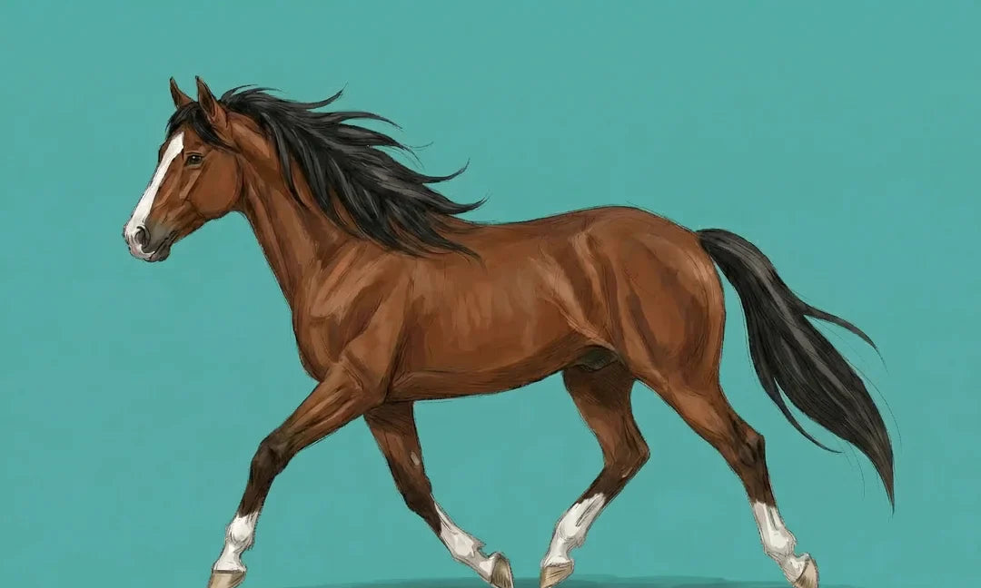 Pferd zeichnen lernen: Schritt für Schritt für Anfänger