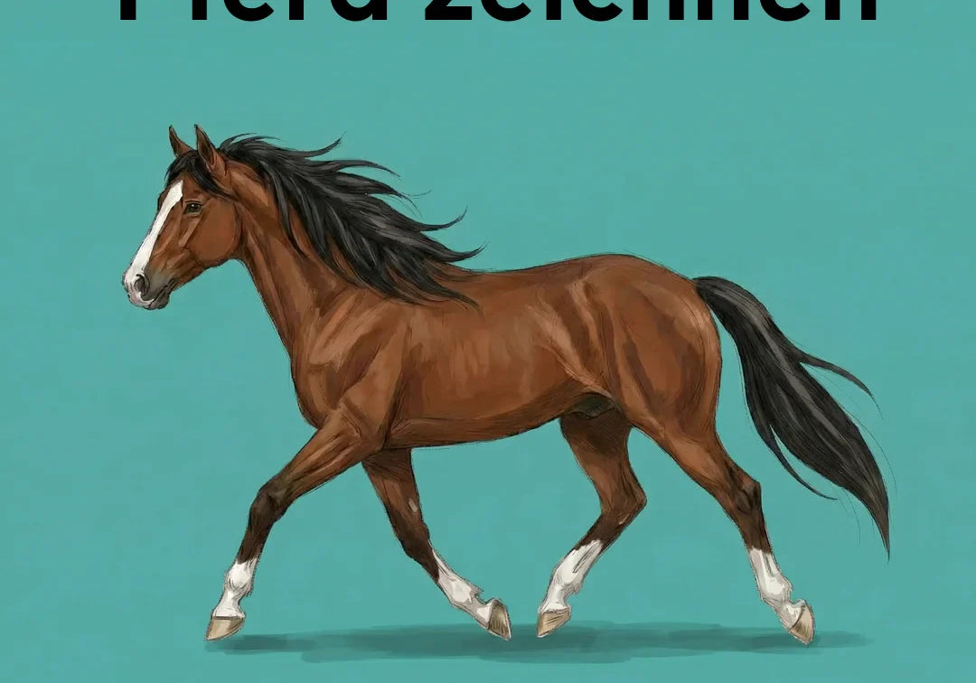 Pferd zeichnen lernen: Schritt für Schritt für Anfänger