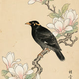 Diamond Painting Amsel bei Magnolie Japan