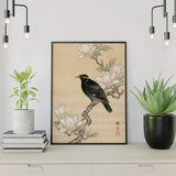 Diamond Painting Amsel bei Magnolie Japan