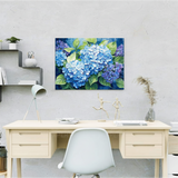 Malen nach Zahlen Blaue Hortensie