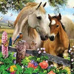 Diamond Painting Pferd & Fohlen