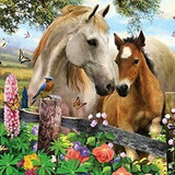 Diamond Painting Pferd & Fohlen