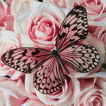 Diamond Painting Schmetterling mit Blumen