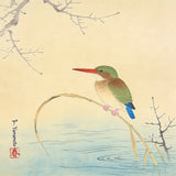 Diamond Painting Eisvogel am Ufer Japan