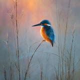 Diamond Painting Eisvogel bei Sonnenaufgang