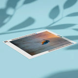 Diamond Painting Eisvogel bei Sonnenaufgang