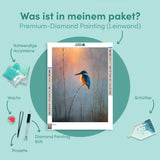 Diamond Painting Eisvogel bei Sonnenaufgang