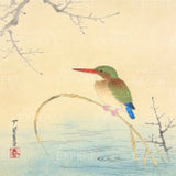 Diamond Painting Eisvogel am Ufer Japan