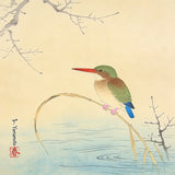 Diamond Painting Eisvogel am Ufer Japan