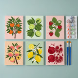 Malen nach Zahlen – 6 Mini-Gemälde - Die Obstkollektion