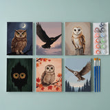 Malen nach Zahlen – 6 Mini-Gemälde - Waldkauz in der Dämmerung