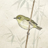 Malen nach Zahlen Kuifje aan de Oeverwilg Japan