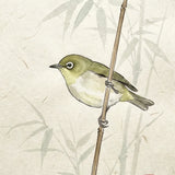 Malen nach Zahlen Kuifje aan de Oeverwilg Japan