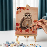 Malen nach Zahlen – 6 Mini-Gemälde - Waldkauz in der Dämmerung