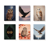 Malen nach Zahlen – 6 Mini-Gemälde - Waldkauz in der Dämmerung