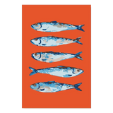 Freigestelltes Motiv Blaue Sardinen ohne Hintergrund