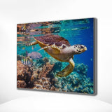 Diamond Painting Schildkröte Meer