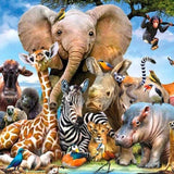 Malen nach Zahlen Tierische Safari