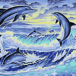 Malen nach Zahlen 6 Delfine