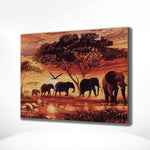 Malen nach Zahlen Afrika