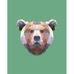 Malen nach Zahlen Bär Polygon