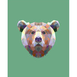 Malen nach Zahlen Bär Polygon