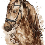 Malen nach Zahlen Braunes Pferd