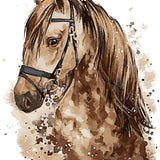 Malen nach Zahlen Braunes Pferd