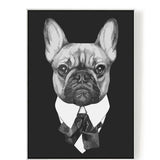 Malen nach Zahlen Bulldog