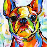 Malen nach Zahlen Bulldog Fröhliche Farben