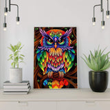 Malen nach Zahlen Bunte Eule