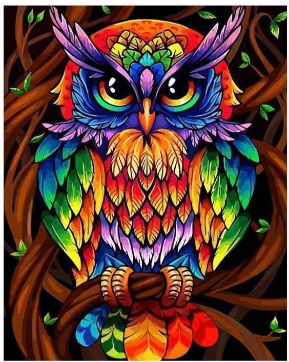 Malen nach Zahlen Bunte Eule