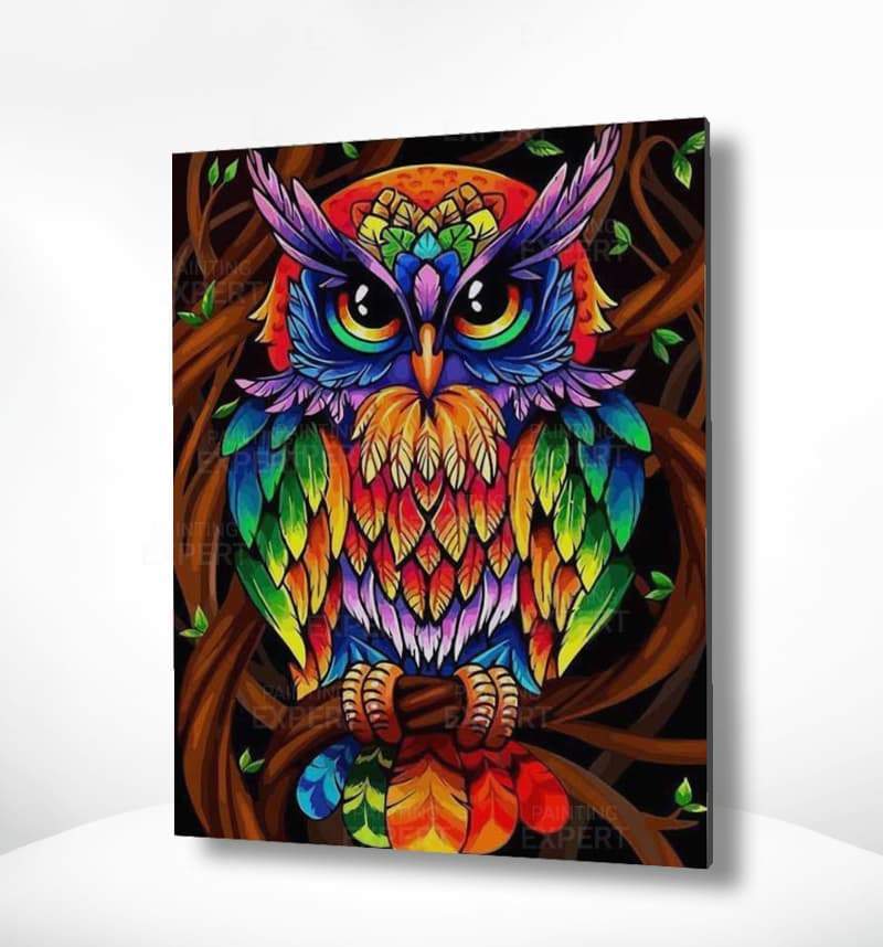 Malen nach Zahlen Bunte Eule