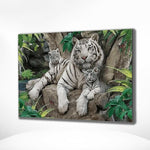 Malen nach Zahlen Drei Tiger im Wald