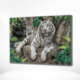 Malen nach Zahlen Drei Tiger im Wald