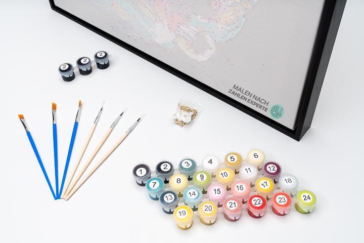 Malen nach Zahlen Kamille