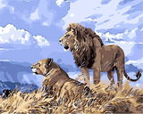 Malen nach Zahlen Lions Blauer Himmel-Malen Nach Zahlen Experte